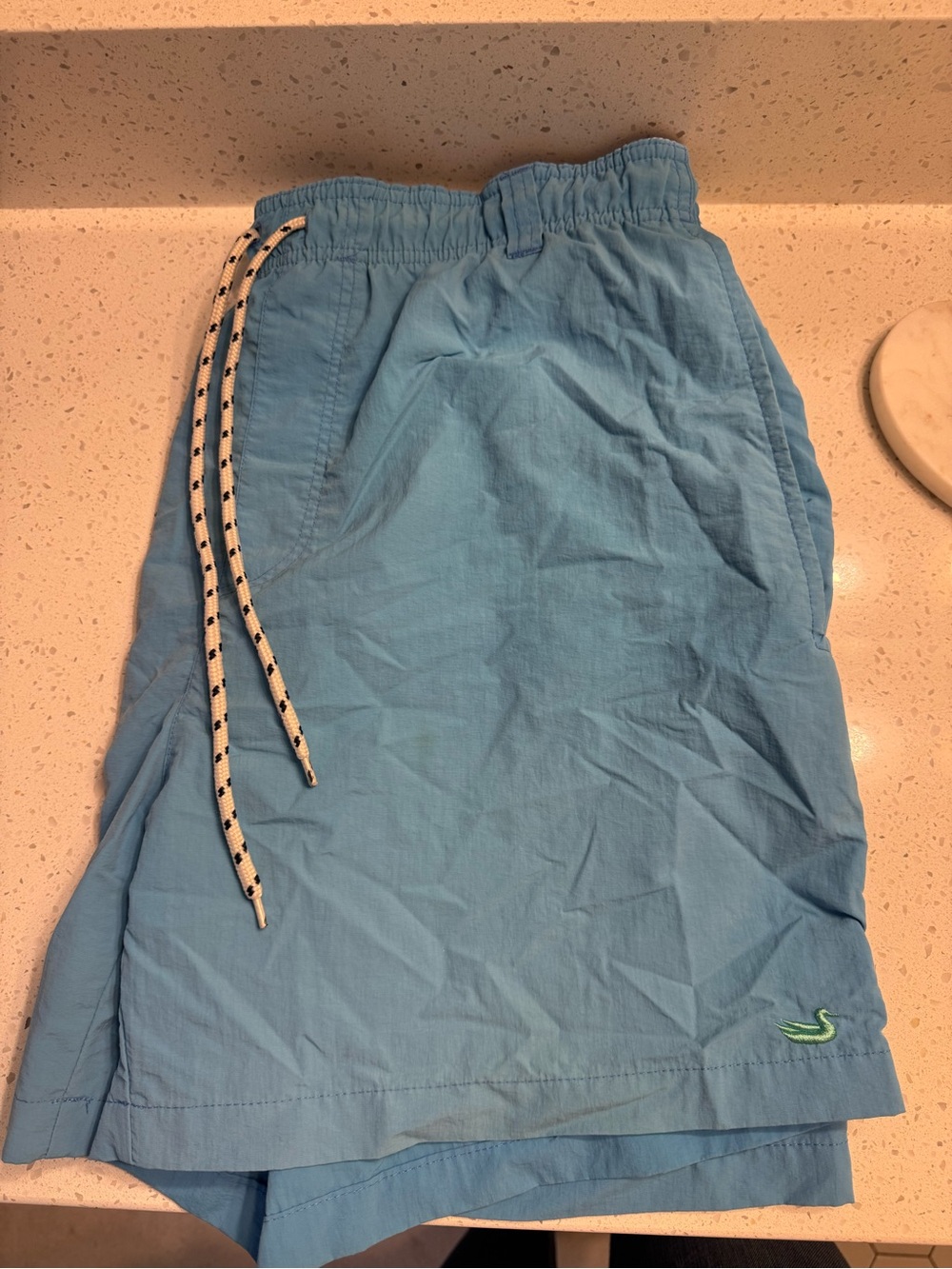 Southern Marsh Swim Trunks